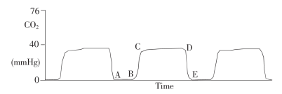 图 1  正常二氧化碳浓度波形